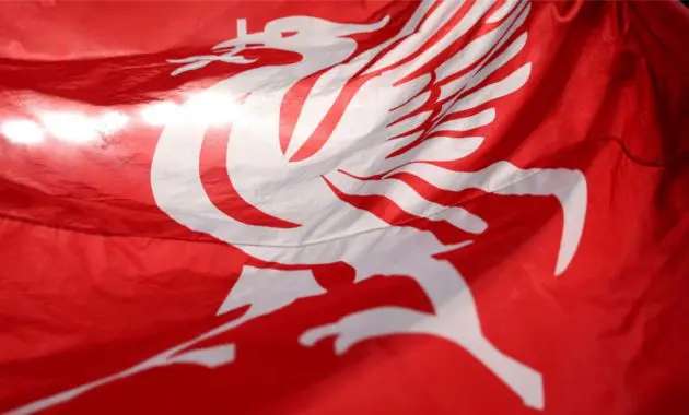Liverpool defender Luca Stephenson is set to undergo surgery