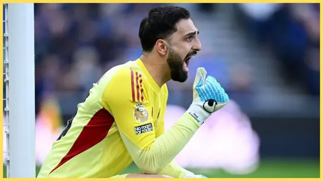 Giorgi Mamardashvili of Liverpool during the Premier League match between Everton and Liverpool at Hill Dickinson Stadium