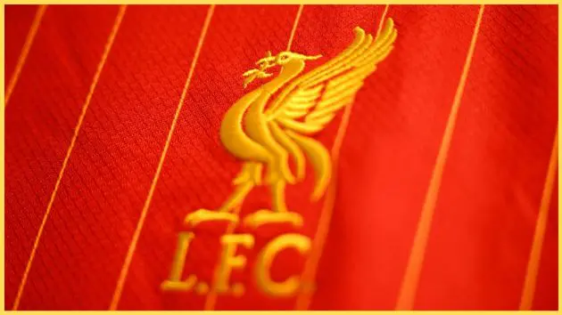 An image of the Liverpool crest on a supporter's shirt